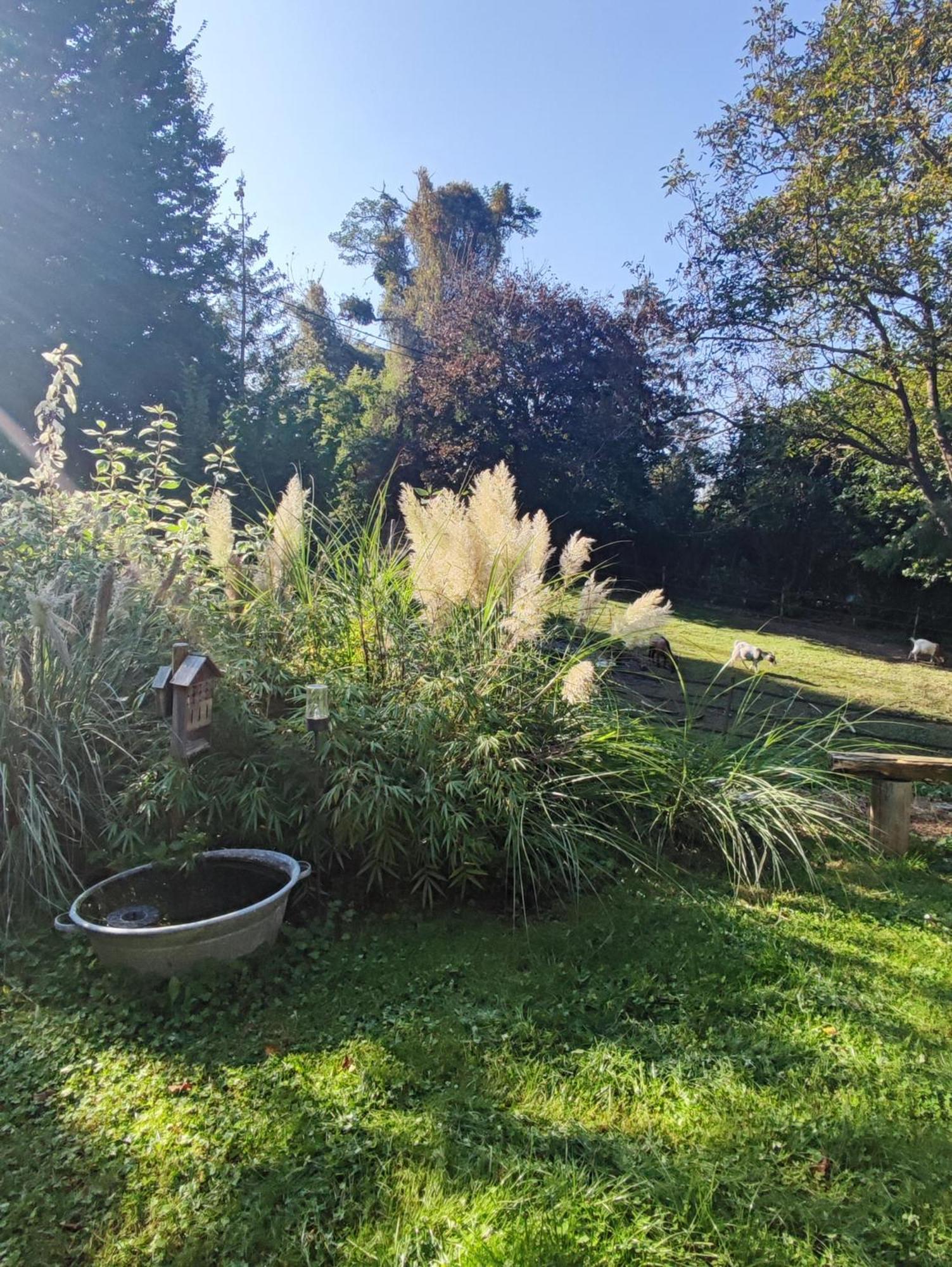 Au Pre De Mukky Vila Andenne Exterior foto